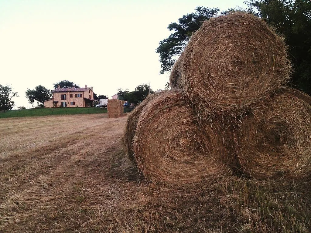 Agriturismo bio Verde Armonia Montemarciano Agroturismo