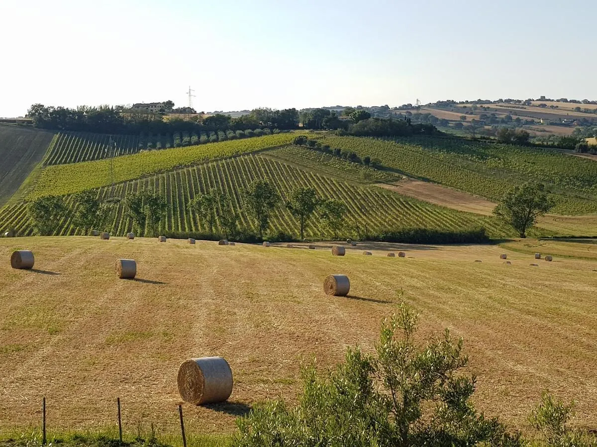 Farm stay Agriturismo Bio Verde Armonia Montemarciano Italy